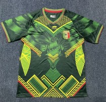 25-26 Mali Green Special Edition Fans Soccer Jersey