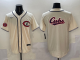 2025 MLB Chicago Cubs New Pattern Jersey