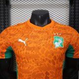 2026 Cote d'Ivoire Home Player Version Soccer Jersey
