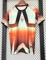 25-26 France GoalKeeper Fans Soccer Jersey