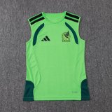 2026 Mexico Green High Quality Player Version Tank Top And Shorts Suit (球员套装)