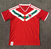 25-26 Wales Red Special Edition Fans Soccer Jersey