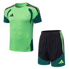 2026 AD Green High Quality Player Version Training Short Suit (球员套装)