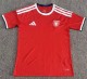 27-28 Czech Republic Home Fans Soccer Jersey
