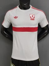 26-27 LIV Grey Player Version Training Shirts