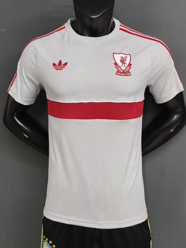 26-27 LIV Grey Player Version Training Shirts