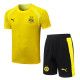 26-27 Dortmund High Quality Training Short Suit