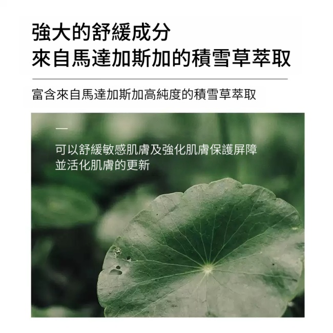 韓國skin1004理膚天使積雪草水感防曬隔離霜  乾敏肌水潤舒緩  SPF50++++