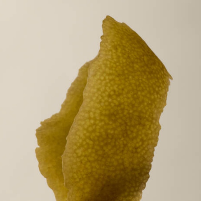 苦橙香檸身體潔膚露