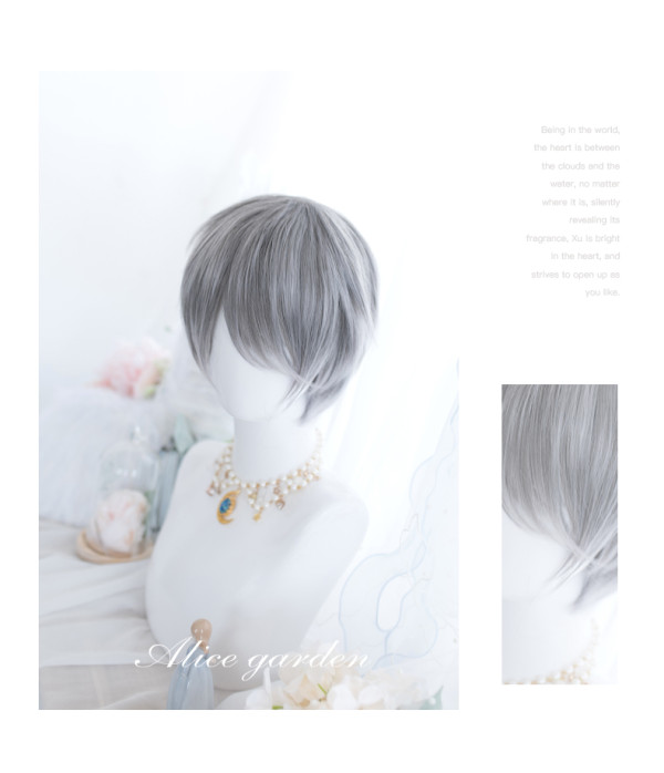 Alice Garden - 28cm Short Silver Handsome Ouji Lolita Wig