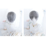 Alice Garden - 28cm Short Silver Handsome Ouji Lolita Wig