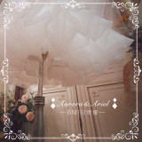 A-line Shaped Dailywear Version Organza 45cm Lolita Petticoat