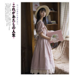 Mystery Maiden Classic Vintage Casual Lolita OP Dress