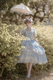 Henrietta -Looking For Butterfly- Gorgeous Classic Vintage Princess Lolita OP Dress(General Dress Length)