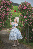 Fantastic Wind -Falling Flowers- Classic Lolita JSK