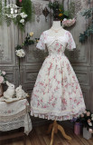 Miss Point -Malus Spectabilis in the Moon- Classic Casual Lolita OP Dress