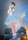 Doris Night -Snow Rose- Elegant Princess Tea Party Classic Lolita JSK Dress