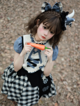 Funny Land- Sweet Lolita Accessories