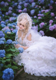Dream Waltz- Gorgeous Tea Party Princess Wedding Lolita JSK Dress with Arm Sleeves