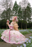 Flower and Cuckoo - Casual Simple Classic Lolita Corset Top and Skirt