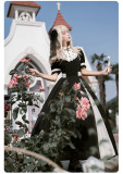 Withpuji -Dawn and Night- Classic Embroidery Lolita OP with Detachable Collar