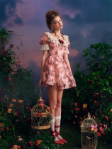 LaceMade - Flower Spirit Cage - Vintage Oil Painting Style Lace Party Prom Dress Casual Lolita OP Dress