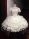Praise From the Eternal Star - Sweet Wedding Classic Lolita OP Dress, Organza Overskirt, Veil and Bonnet