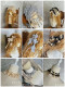 Twins Bear - Gilded Dream - Party Prom Dress Classic Lolita Accessories