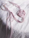 ZJstory - The Song of the Lonely Bird - Gorgeous Classic Lolita Accessories