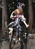 Cage Meeting - Circus Style Sweet Lolita Topwear, Skirt, Birdcage Overskirt and Accessories