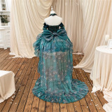Diamond Honey - Sparrow Fairy- Homecoming Evening Prom Birthday Party Princess Classic Lolita JSK and Accessories