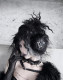 Blood Supply -Shadow of Serpent Gaze- Cross Gothic Lolita Fur Earmuff