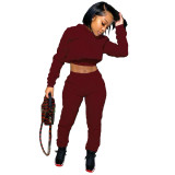 Solid Long Sleeve Hoodied Crop Top+Buttocks Bandage Pants Suit