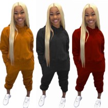 Solid Color Long Sleeve Hoodie Sweatpants 2 Piece Outfit