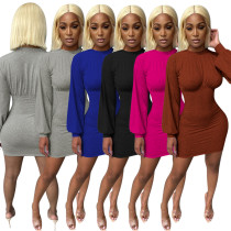 Elegant Women Long Sleeve Solid Lantern Sleeve Bodycon Dress