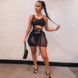 Women's Fashion Sexy Nightclub Mesh Lace See-through Dress