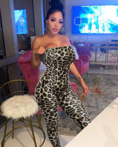 Summer Mid-Waist Leopard Print Open Back Women's Clothing