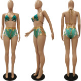 Sexy Summer Bikini Digital Print Split Swimsuit