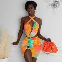 Fashion Swimsuit Colorful Print Dress