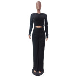 Pure Color Casual Pleated Long-Sleeved T-Shirt Wide-Leg Pants Suit