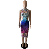 Fashion Sexy Gradient Leopard Print Hole Dress