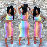 Two-Piece Rainbow Gradient Sexy Burnt Flower Vest Skirt