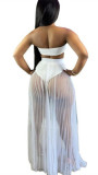 New Pleated Mesh See-Through Sexy Breast Wrap Two-Piece Suit