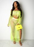 Two-Piece Casual Mesh Fringed Beach Dress