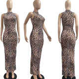 Sexy See-Through Leopard Colorful Print Beach Net Gauze Dress