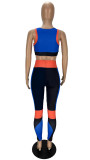 Sexy Women's Color Contrast Yoga Sports Two-Piece Suit