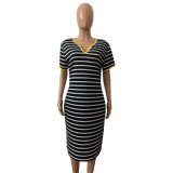 Summer European And American Women's Striped V-Neck Dress