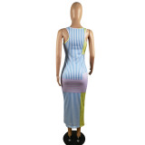 Summer New Vest Printed Striped Dress