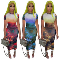 See-Through Mesh Oil Painting Nun Positioning Printing Dress