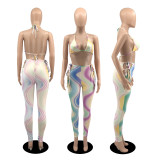 Two-Piece Swimsuit With Summer Flow Color Printing